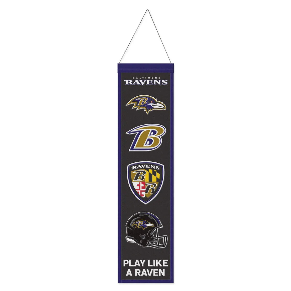 NFL EVOLUTION Banner 8" X 32"