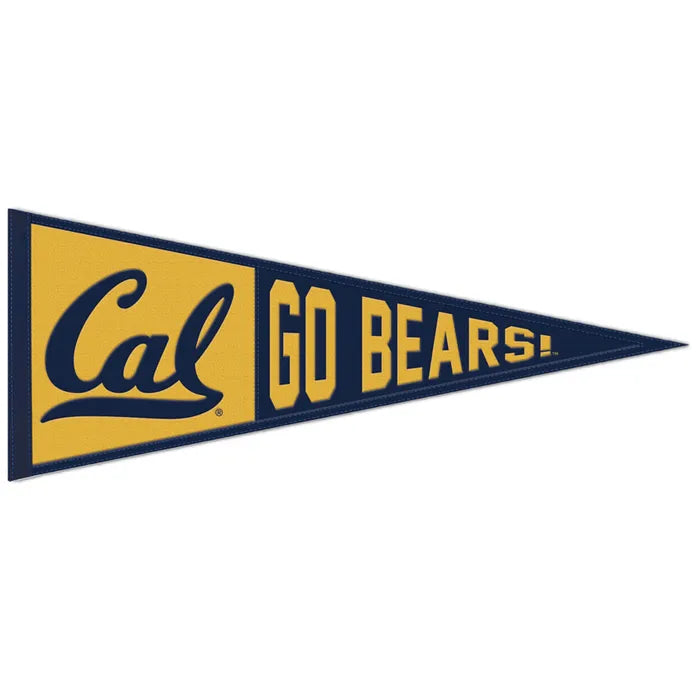 Collegiate Slogan Wool Pennant