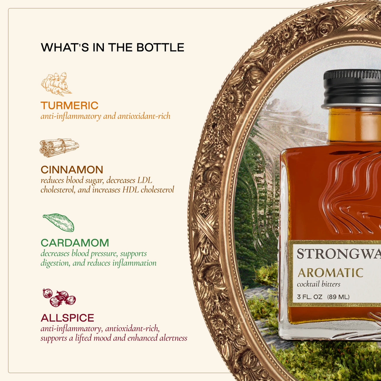 Strongwater Aromatic Cocktail Bitters